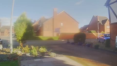 🚪🔔 Bushy Mischief | "Doorbell Rascal" - Pranks Behind the Bush | FunFM
