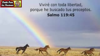 OBDECERÉ TU PALABRA _ Salmo 119. _ Devocional.