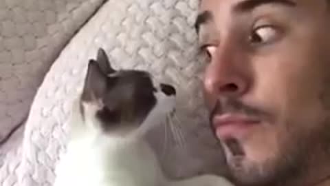 Little cat wants kisses