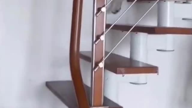 Dogs Are Funny! (WAIT UNTIL THE END)!