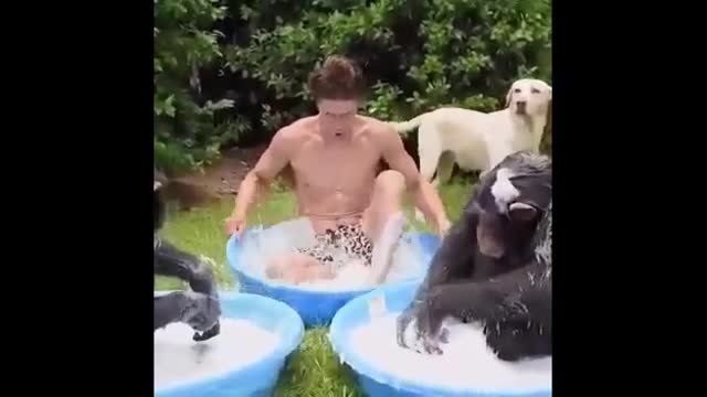 2021's FUNNIEST ANIMALS - Compilation of Funny and Cute Animal Videos