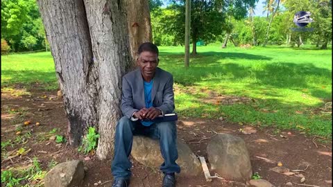 Let The Sunshine In'' Devotional - The ark of God.