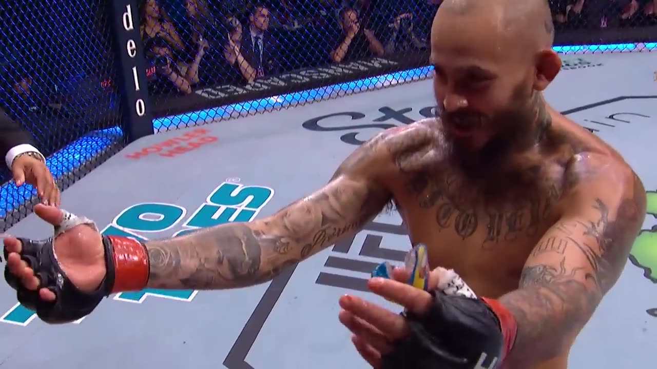 Top UFC Finishes of 2022