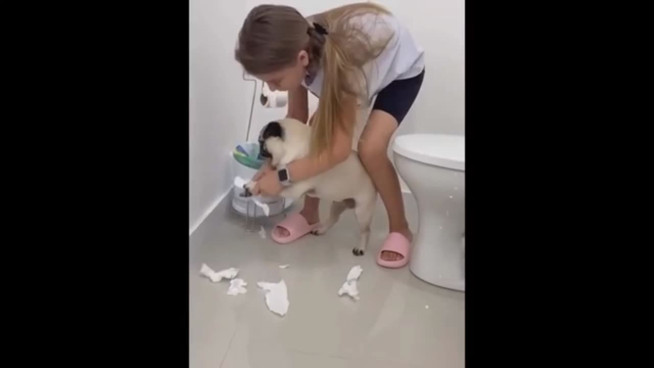 New funny animals 😂funniest cat 🙀 and 🐶 dog video
