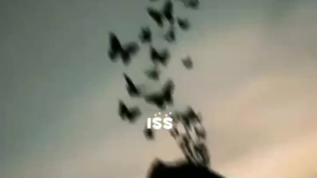 Song