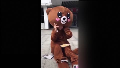 The cutest bear ever ( tik tok bear )