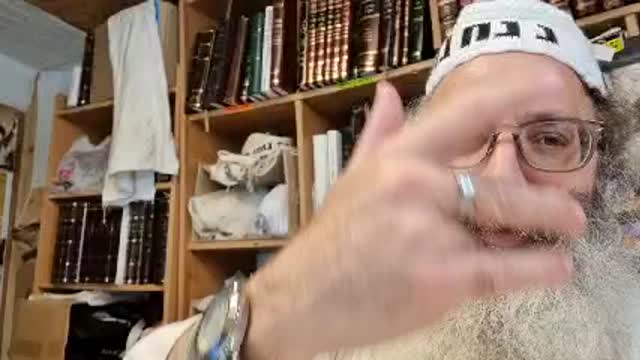 אילו בנתך הווין מי הוית מזלזל בהו כולי האי הואי כשגגה שיוצא מלפני השליט - שיר נ נח מסכת כתובות דף כג