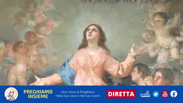 Conosciamo la Storia dell'Assunzione in cielo della Santa Vergine Maria-15 Agosto 2022 Nella Basilica di San Francesco ad Assisi viene esposto il Velo di Maria è il velo che venne indossato dalla Vergine Maria alla nascita di Gesù a Betlemme