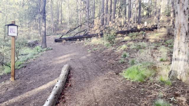 Meadow Day Use Area Trailhead – North Section of Deschutes River Trail – Central Oregon – 4K