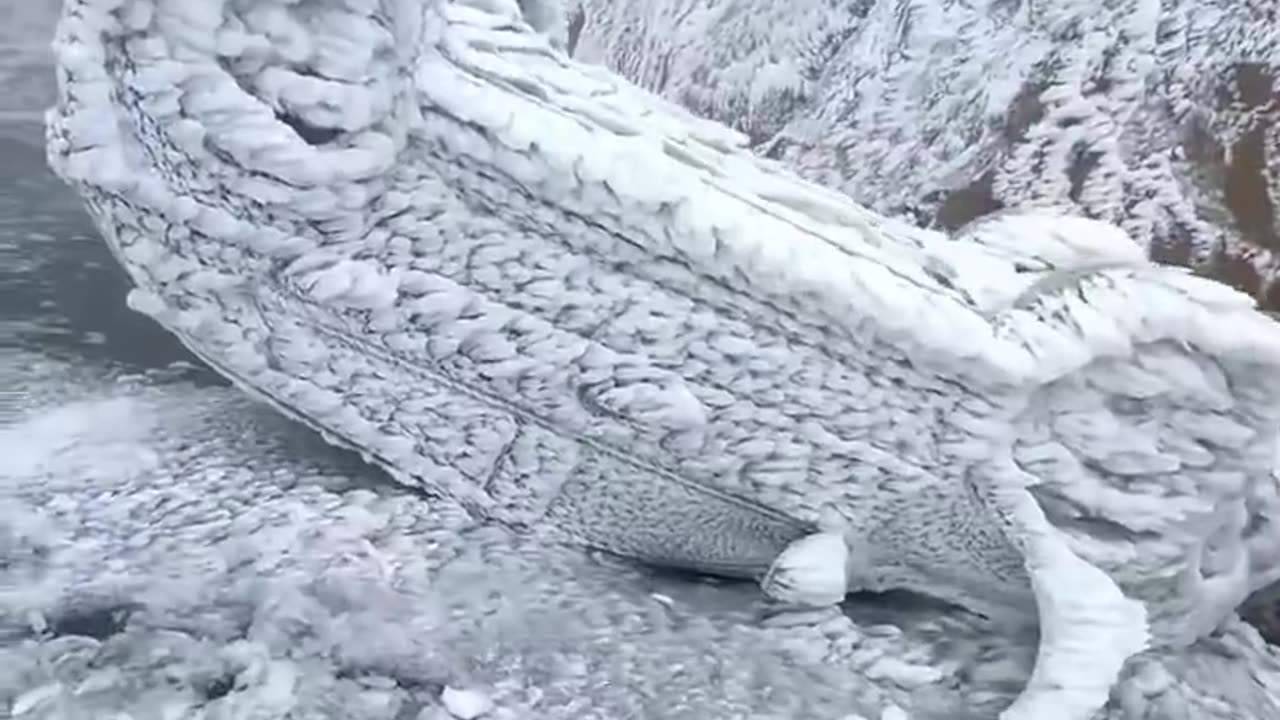 Everything 🥶 frozen in Zhufeng mountain China earlier last week