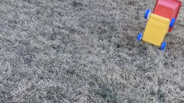 Dog Goes Flying During Game of Fetch