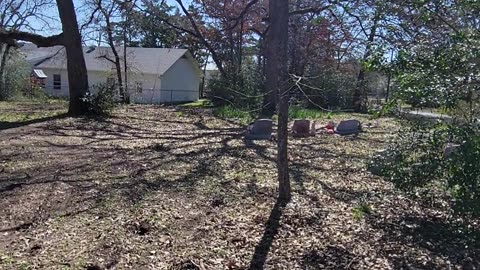 #Bright #Light #Cemetery in College Station TX, Brazos Co Taken in 2024