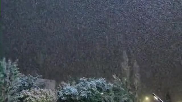 do you like this snow