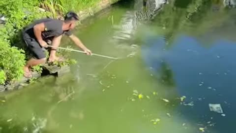 🐟 Amazing Fishing