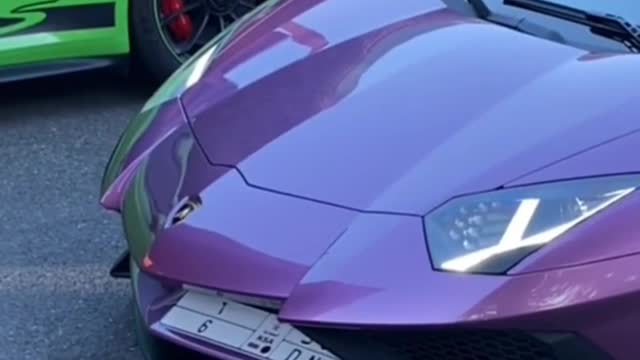 Purple lamborghini