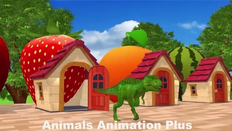 animals video / animals video for kids