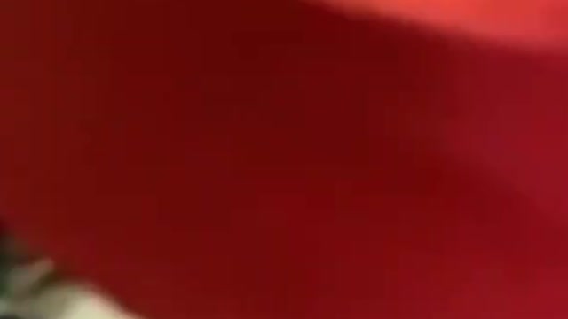 Funniest Cat And Dogs 😂 Funny Animal Videos