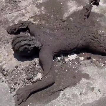 MAUI WOW E 111 666 THESE EVIL FUCKING PARASITES