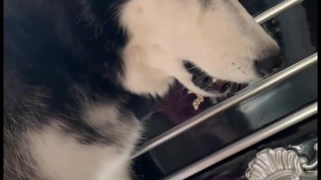 Husky: Are you moved when I read you a rap?