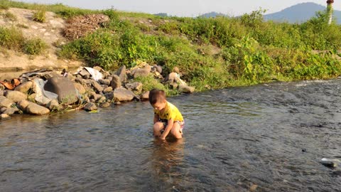 The whole family went to catch snails on Sunday