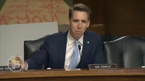 Lib Professor Has MELTDOWN When Hawley Asks If Men Can Get Pregnant