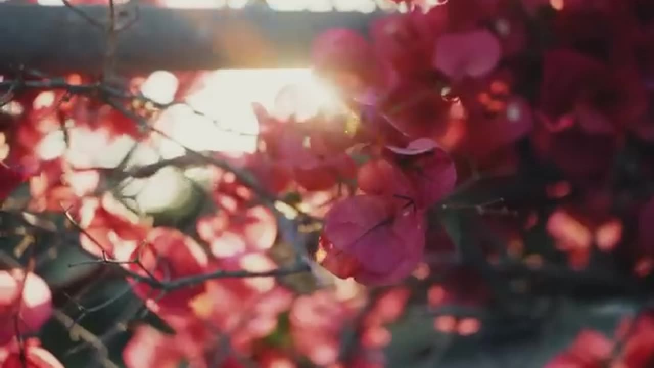 film vs digital