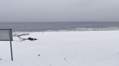 White beach in Sweden, snow and sea meets!