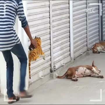 It's a little joke for fun