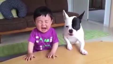 funny videos - Most funny DOG AND KIDS Video