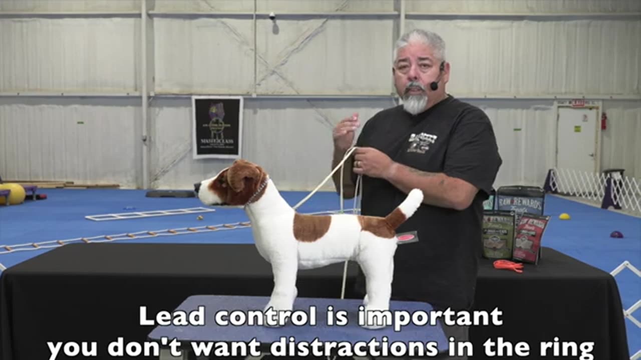 Hand Stacking Show Dogs with Eric Salas