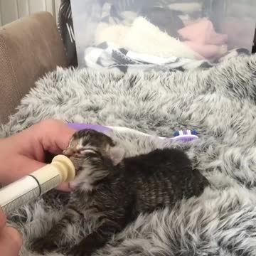 She is super cute, is she so hungry