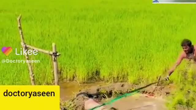 Desi Totka