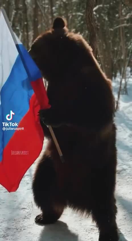 we LOVE OUR RUSSIAN BROTHERS, SISTERS and the BEARS