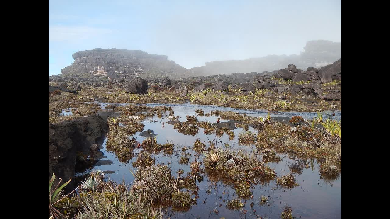 Viaje a #Roraima #Tepuy con música de fondo, Roraima