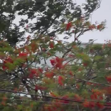 Hurricane Fiona rips through powerless Puerto Rico.🇵🇷 👉 @RedCross