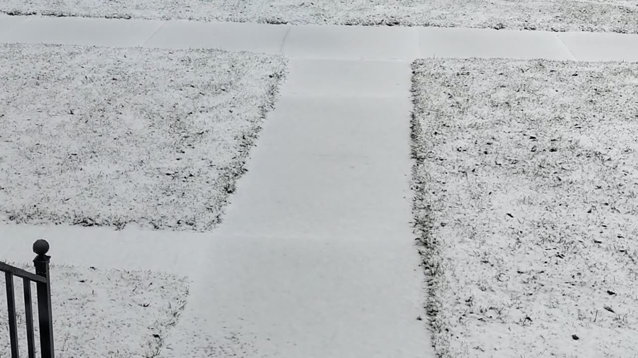 Snow, Dearborn, Michigan, Jan. 28, 2024, About 10:05 A.M.
