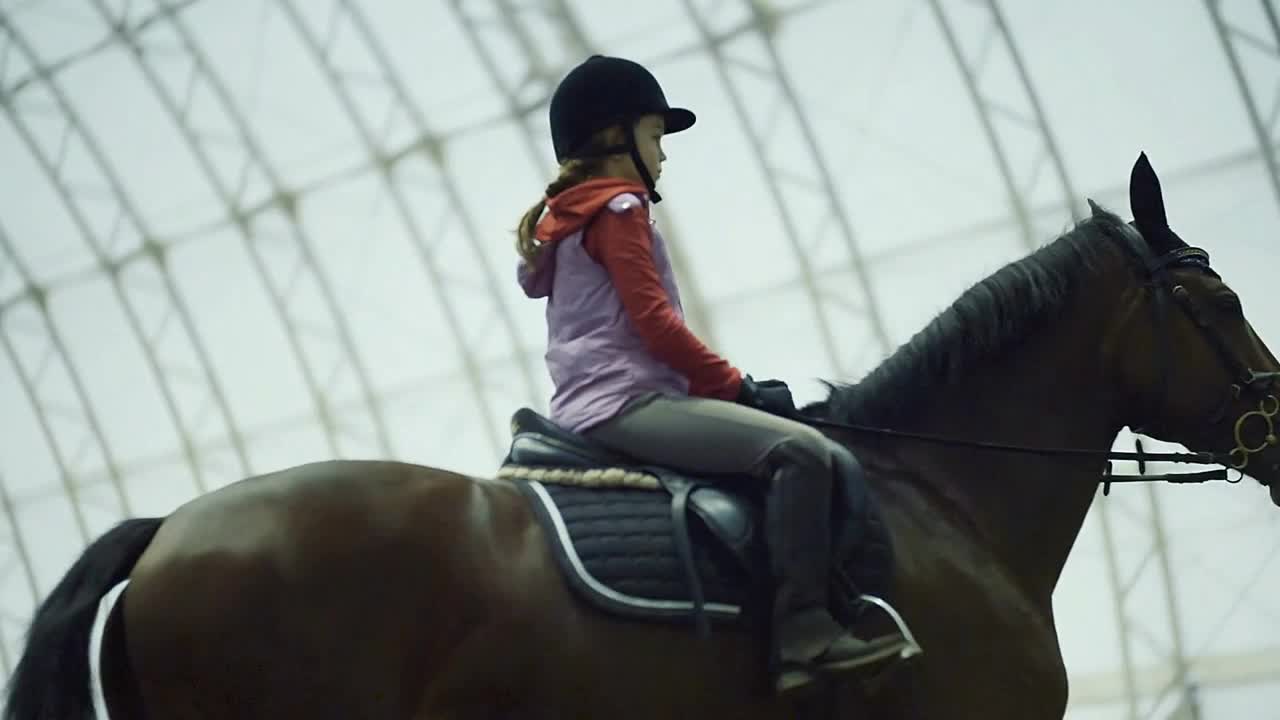 Girl riding a horse in the arena