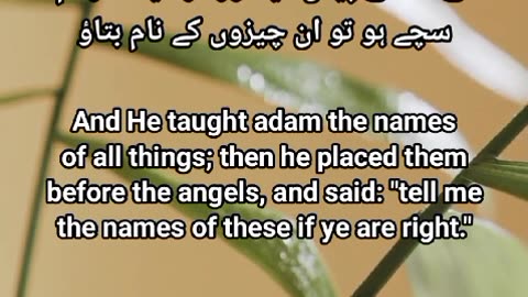 Al Quran