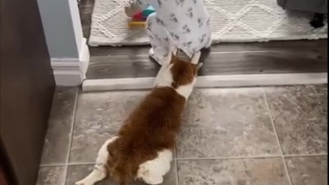 when the cat is your best friend