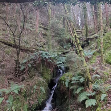 Devil's glenn waterfall