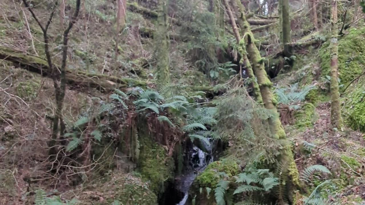 Devil's glenn waterfall