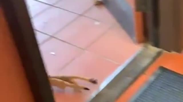 Just dropping in to pick up my friend