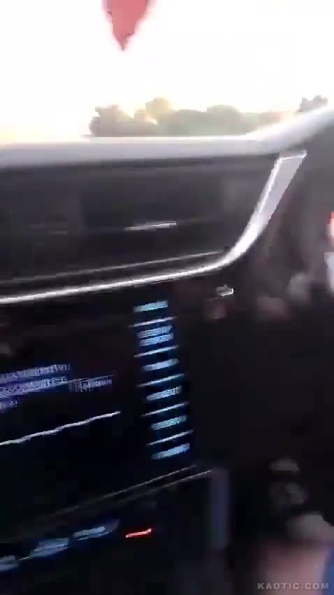 Get out you BASTARDS! Irish farmer chase illegal immigrants off their farm