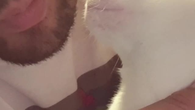 My cat thinks I'm eating it!