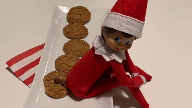 Christmas Elf Sitting on Cookies