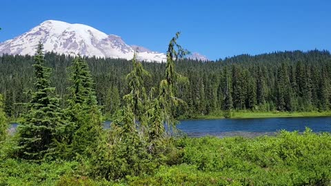 Trip to Mt Rainer