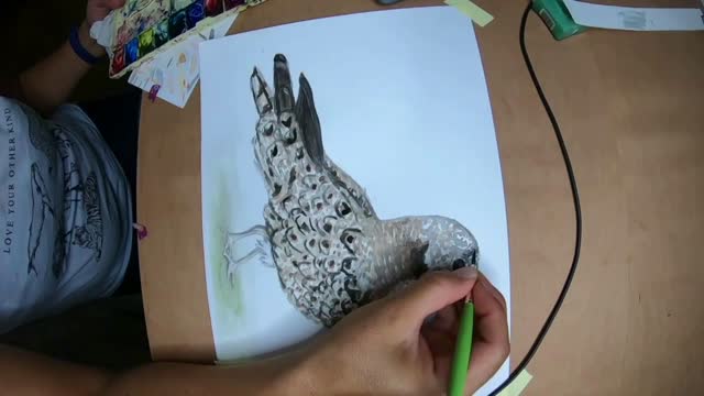 ÑACUNDÁ / URUFAUNA