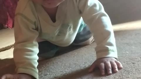 Ao vivo bebê