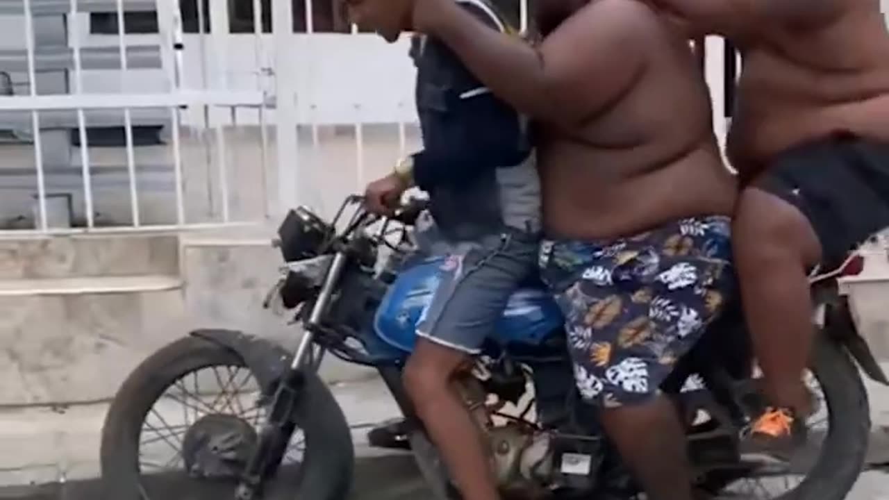 Best Funny Videos - Try to Not Laugh 😆😂🤣 Part 19
