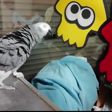 Parrot repels aliens with a beam!